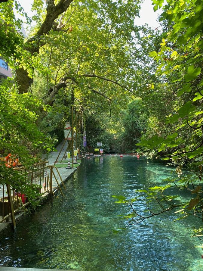 Yuvarlakcay Cinar Butik Otel Кейджегиз Экстерьер фото